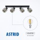 Спот ASTRID ∙ SP972-4L ∙ 4xE14 ∙ метал+стъкло ∙ черен L-770mm