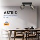 Спот ASTRID ∙ SP971-2L ∙ 2xE14 ∙ метал+стъкло ∙ черен L-340mm