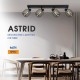 Спот ASTRID ∙ SP972-4L ∙ 4xE14 ∙ метал+стъкло ∙ черен L-770mm