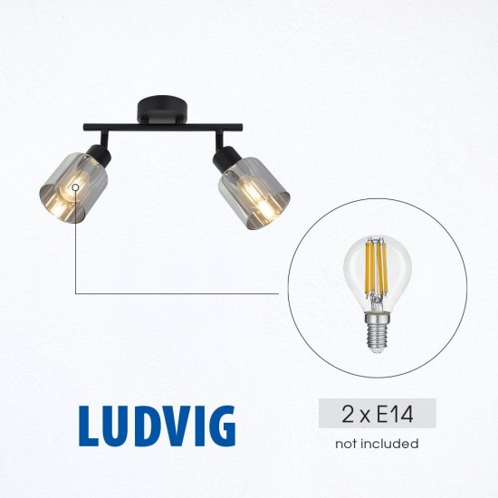Спот LUDVIG ∙ SP977-2L ∙ 2xE14 ∙ метал+стъкло ∙ черен L-250mm