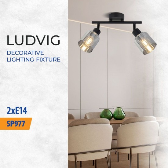 Спот LUDVIG ∙ SP977-2L ∙ 2xE14 ∙ метал+стъкло ∙ черен L-250mm