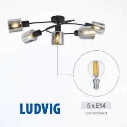 Плафон LUDVIG ∙ CL980-5C ∙ 5хЕ14 ∙ метал+стъкло ∙ черен L-600mm